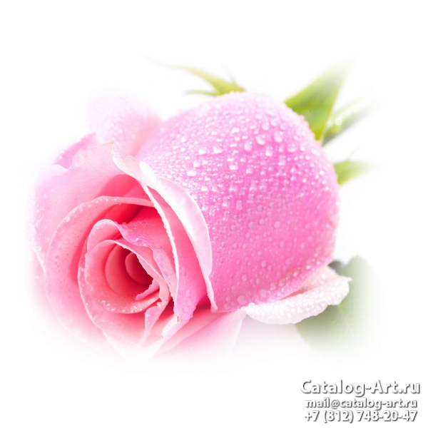Натяжные потолки с фотопечатью - Розовые розы 40